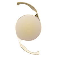 クラレオンパンオプティクス